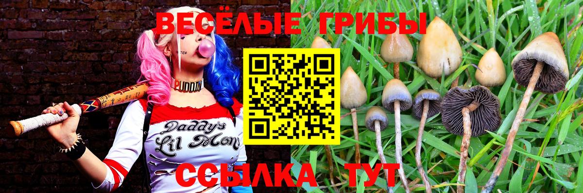 Галлюциногенные грибы мицелий  Галлюциногенные грибы MAGIC MUSHROOMS  Ачинск  Вход с VPN 